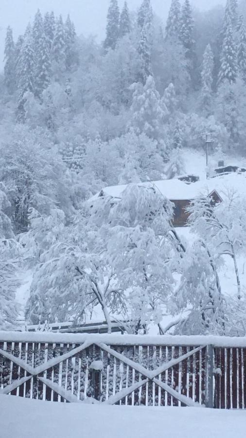 Privatna Sadiba Chalet Орявчик Екстериор снимка